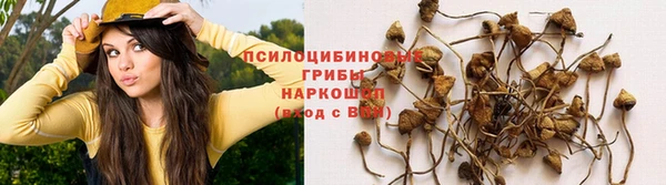 мескалин Балахна