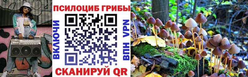 купить закладку  Магас  это состав  Псилоцибиновые грибы ЛСД 
